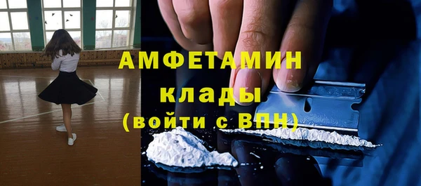 стафф Алексин