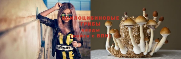 стафф Алексин