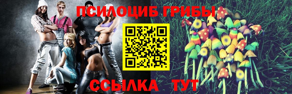 Зерноград  Галлюциногенные грибы Psilocybine cubensis  Вход с VPN 